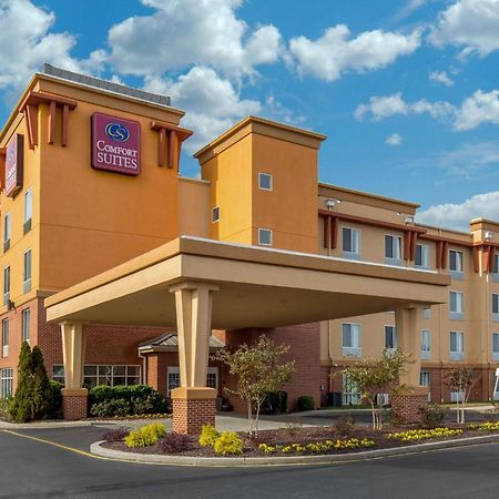 Comfort Suites Seaford Eksteriør billede